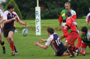 veterans rugby, rugby veterans, irish veterans rugby