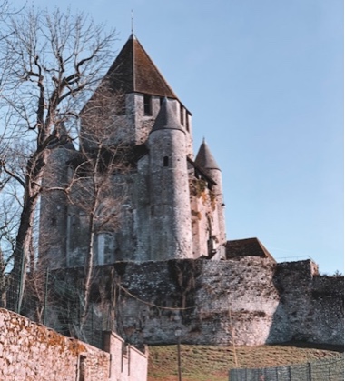 Rugby festival of rugby tower medevial